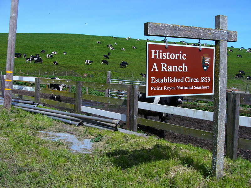A Ranch:  150 years old and going strong…