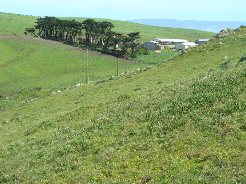 Looking to the northeast towards A Ranch.