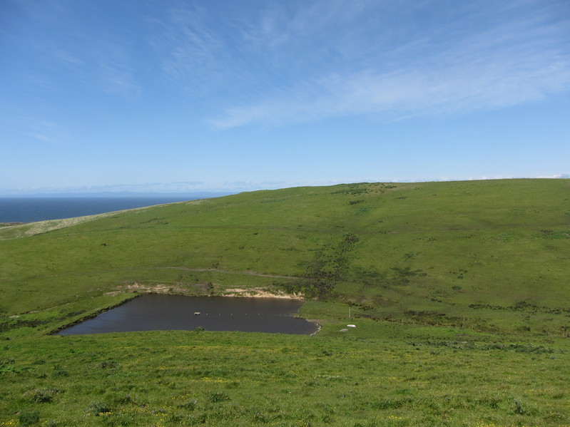 View looking north, towards the pond