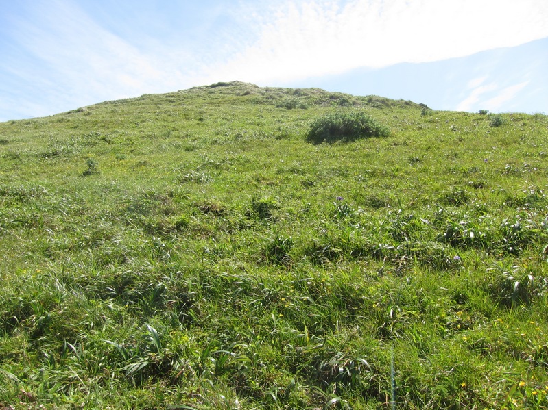 View looking south, uphill