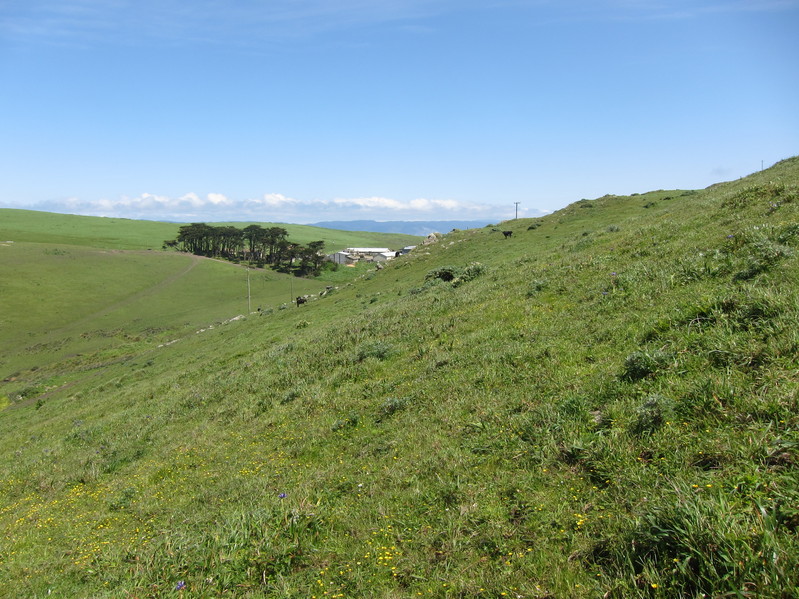 View looking east, towards Ranch A