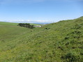 #4: View looking east, towards Ranch A