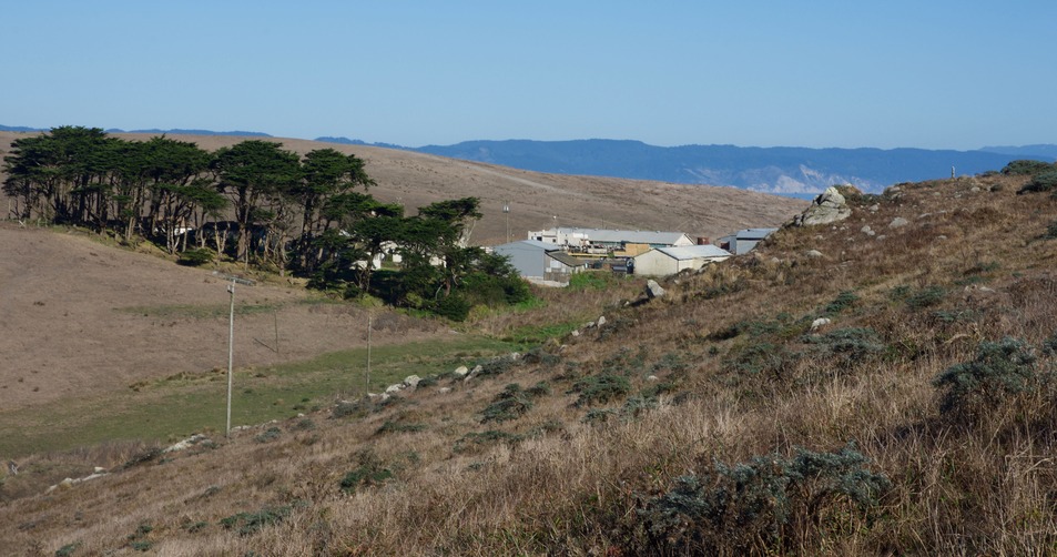 A close-up view of the farm buildings to the East