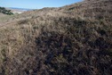 #2: The confluence point lies on a grassy slope within a dairy farm. (This is also a view to the East.)