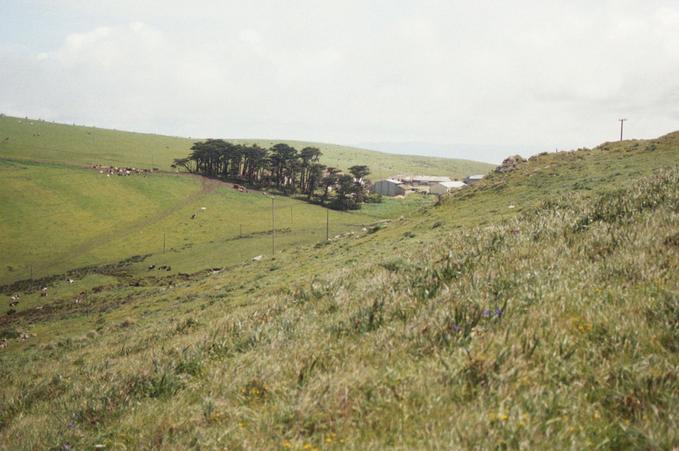 Farm buildings of the "historic farm" in the view to the east.