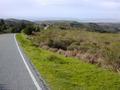 #5: The road through Point Reyes National Seashore