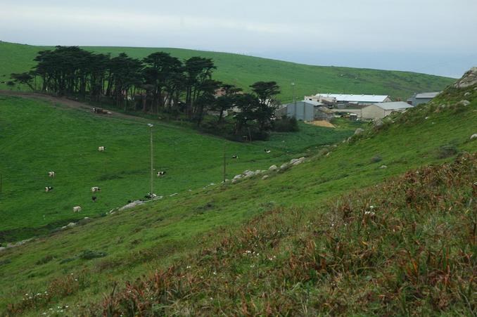 East - part of the Farm A complex