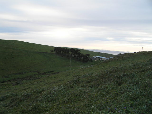 View to the east from the confluence showing the historic 1860s ranch.