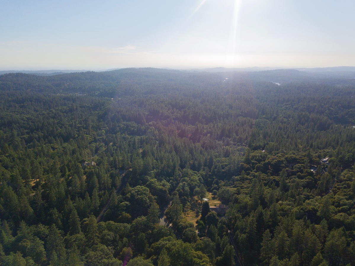 View West, from 120m above the point