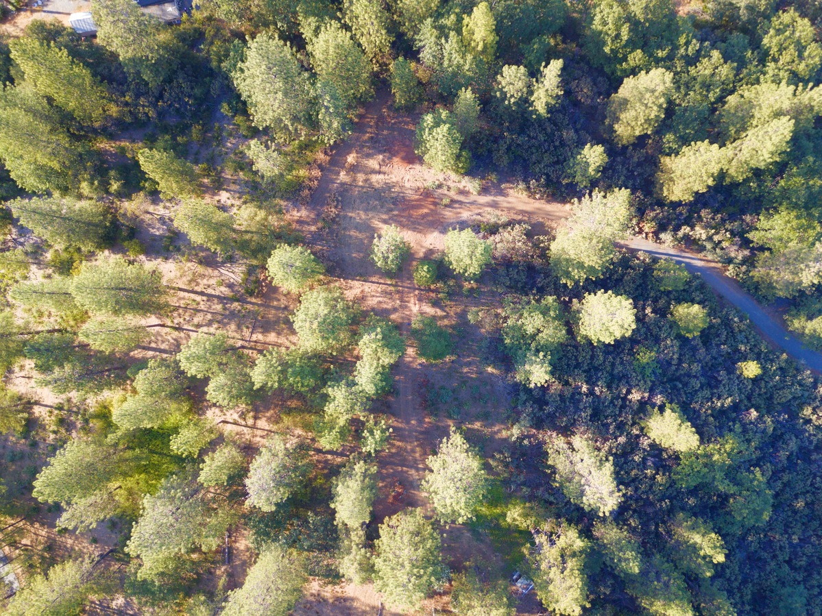 Looking down on the point from a height of 120m.  (The point lies in the scrub in the lower right of the image.)