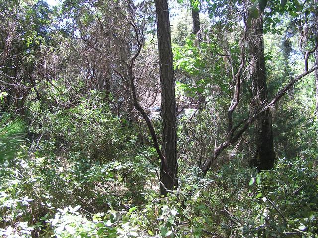 View West (another of the nearby houses is visible)