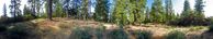 #2: 360-degree panorama from the open area, taken 30 m sw of the point