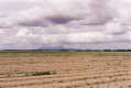 #3: A view of the Sutter Buttes to the NE