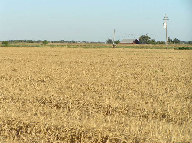 View to the southeast from the confluence.