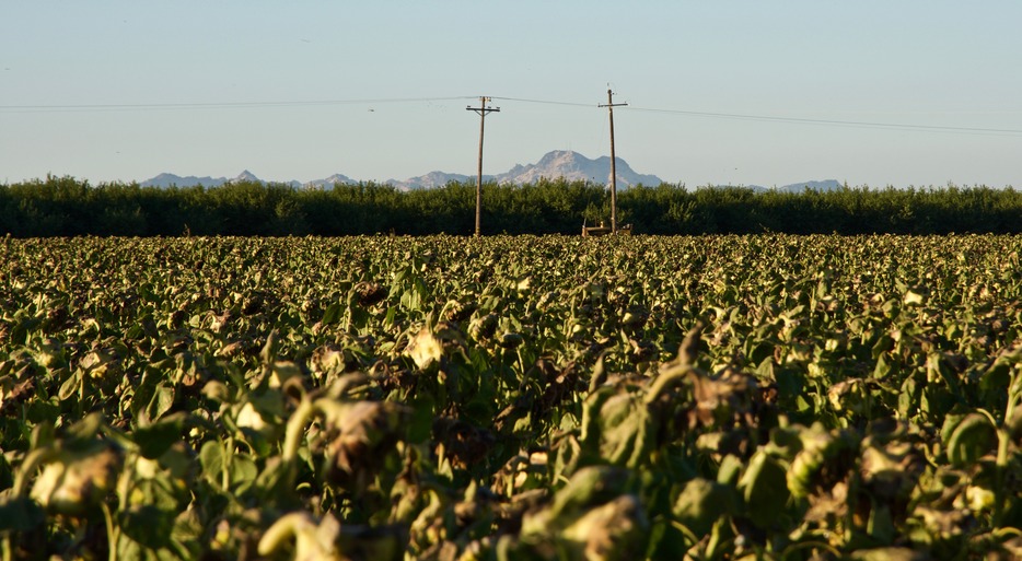 A close-up photo of the nearby Sutter Buttes