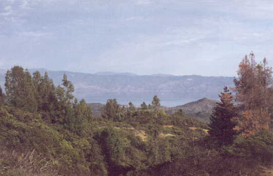 Clear Lake and volcanic cone View ENE