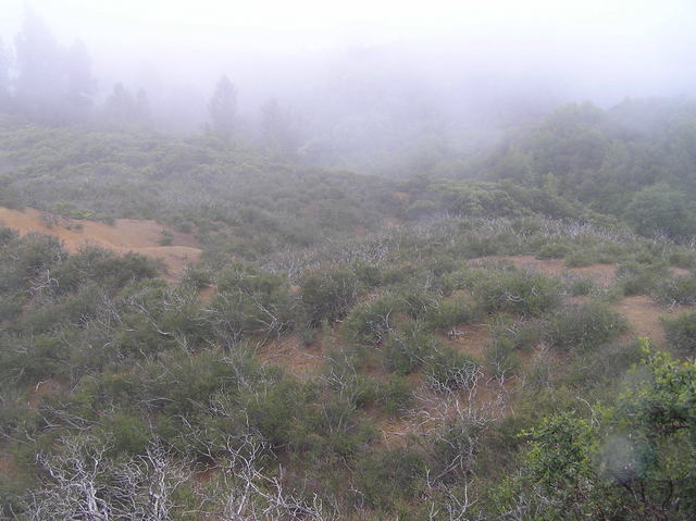 View to the east from the confluence.