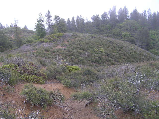 View to the south-southeast from the confluence.