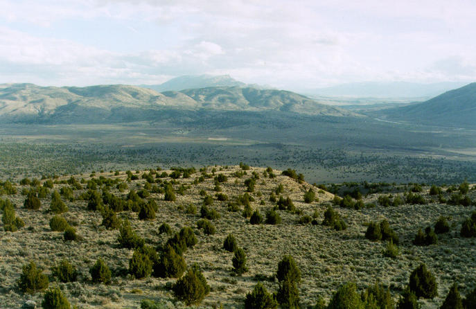 Looking south. Southern Dry Valley with Red Rock and Peterson Mtn. in back