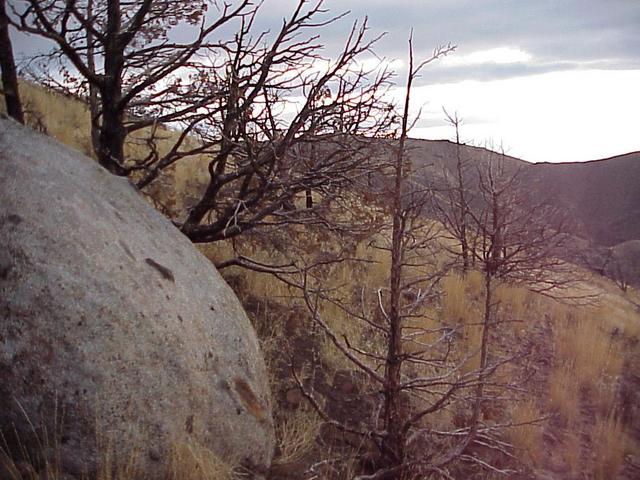 View to the east from the confluence, looking from California into Nevada.