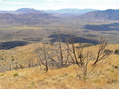 #4: View South