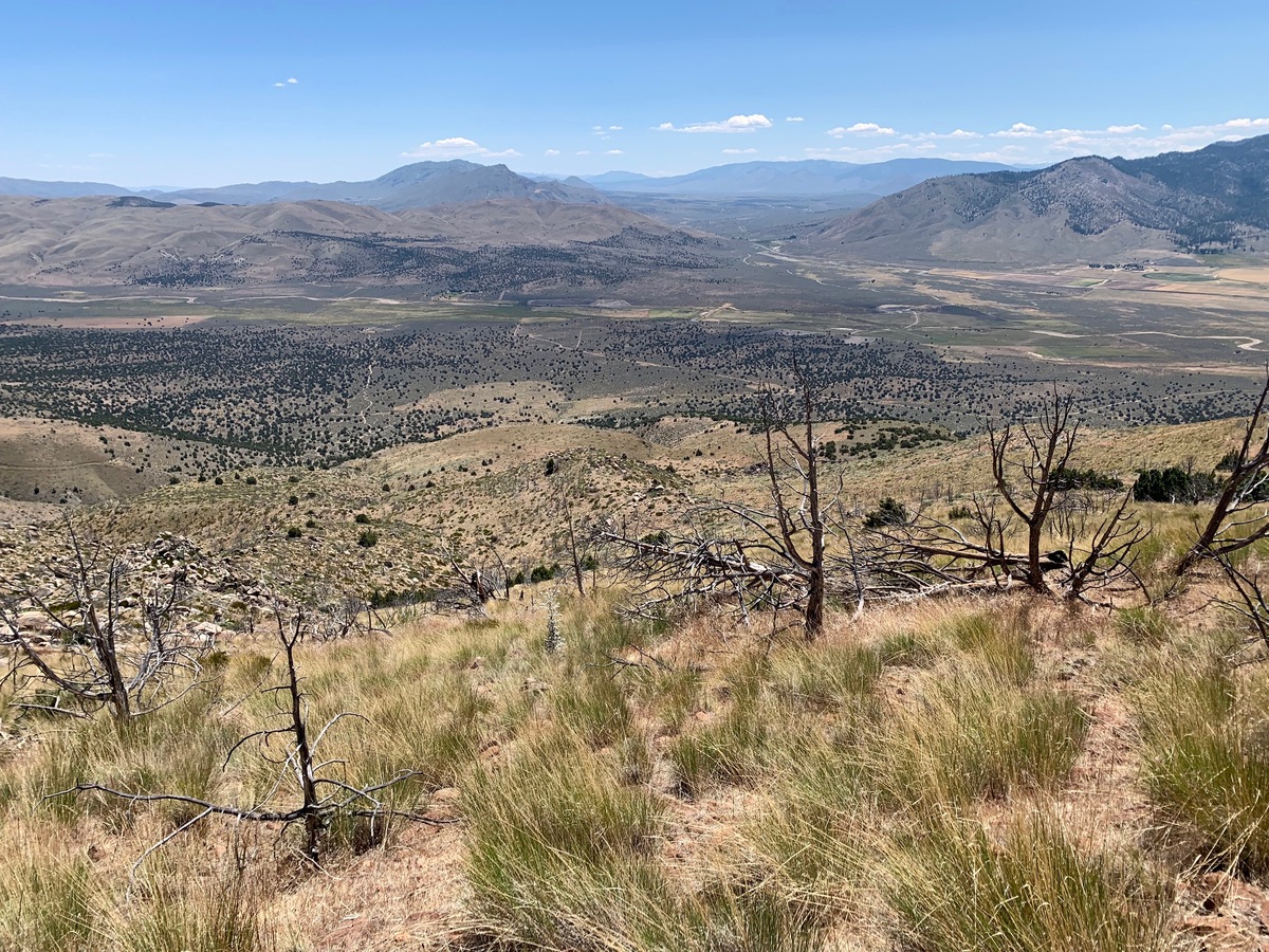 View South (along the Nevada-California state line: Nevada on the left; California on the right).  US highway 395 is visible to the right.