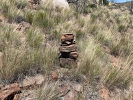 #5: Ground cover at the confluence point