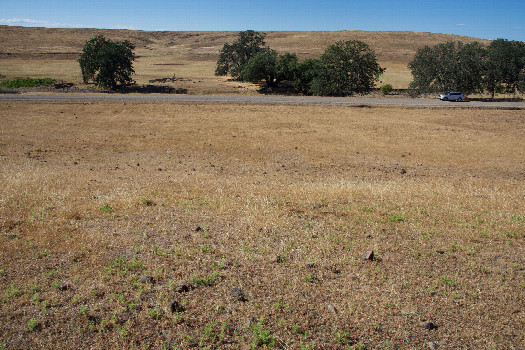 #1: The confluence point lies on a grassy hillside, in ranchland.  (This is also a view to the North, across the access road, 200 feet away.)