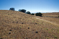 #4: View West