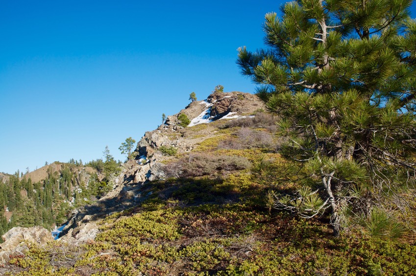The high-point of Hammerhorn Ridge (6733 feet), as seen on the return hike.  This is about 0.6 miles south of the confluence point.