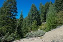 #7: Where I started the hike: At the end of Ant Ridge Road, about 1.5 miles south of the Confluence Point