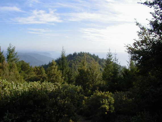 Looking south over the site - ocean to the right