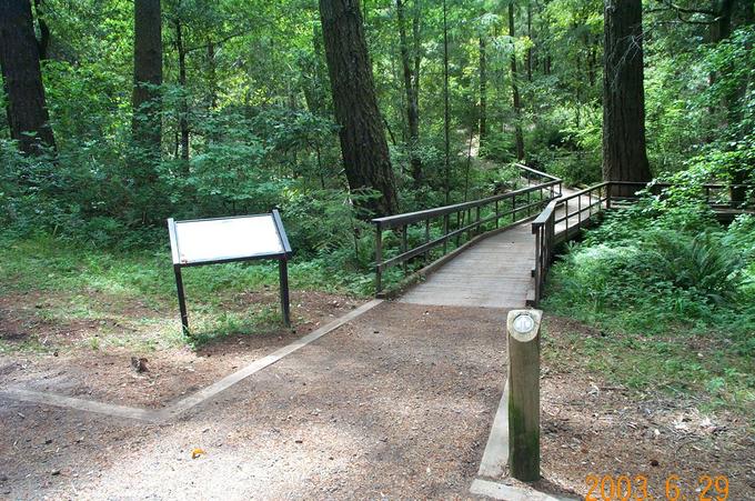 Trailhead between campsites 5 and 6