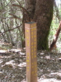 #7: This trail marker lies about 60 feet from the confluence point, and so has made a 'successful visit'