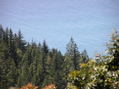 #8: A view of the ocean from the Lost Coast trail, near the confluence point