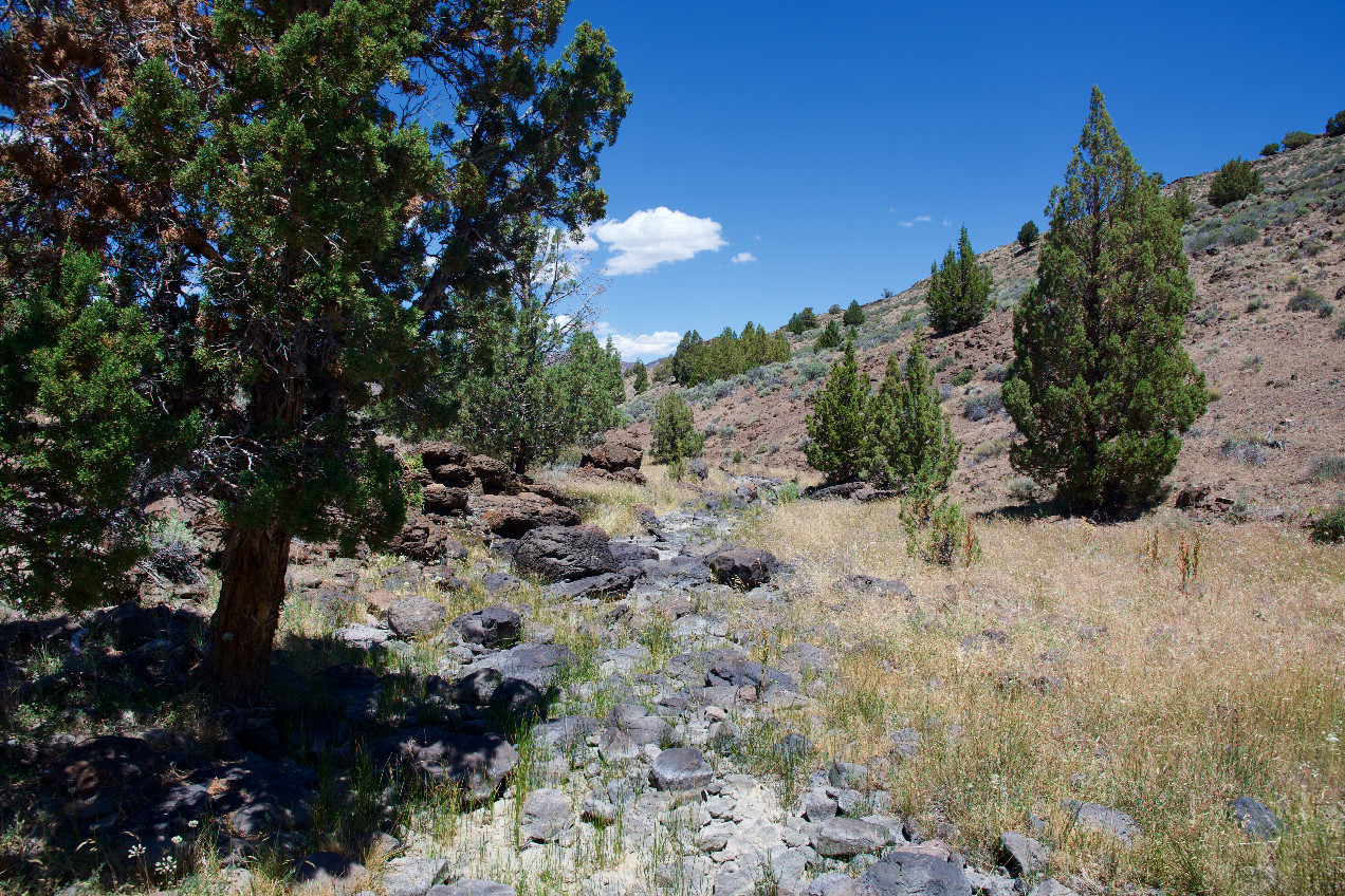 The confluence point lies in a (currently dry) creek bed.  (This is also a view to the North, along the California-Nevada state line.)