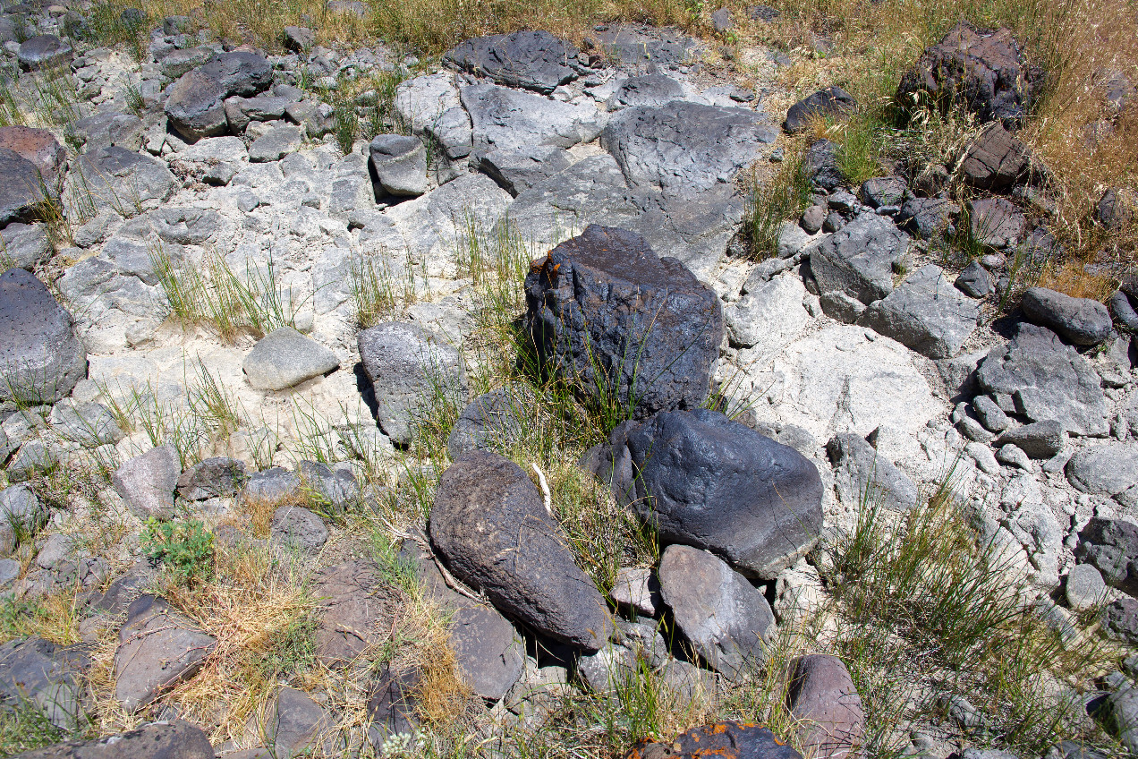 Ground cover at the confluence point