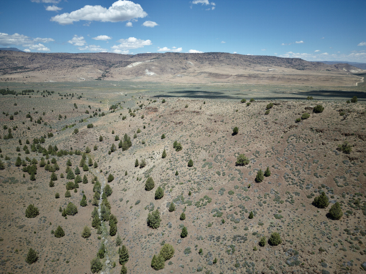 View North, from 120m above the point