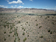 #8: View North, from 120m above the point