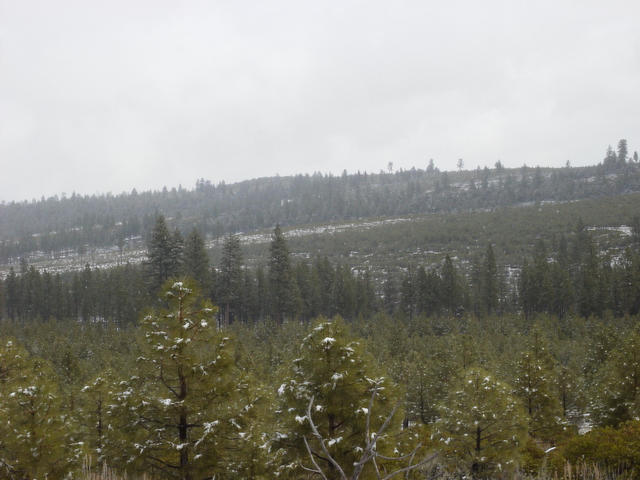 Looking North from the confluence spot.