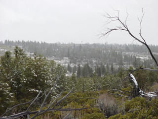 #1: Looking East from the confluence is a beautiful morning after the storm