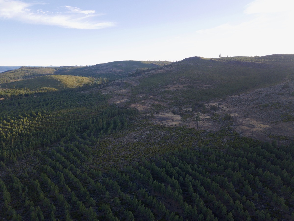 View South, from 120m above the point