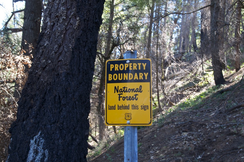 A National Forest boundary sign, next to a burned tree trunk, about 300 feet from the confluence point