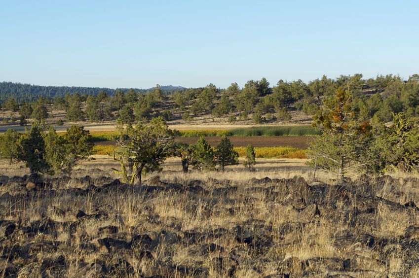 Mud Lake - about 1 mile southeast of the confluence point - at sunset