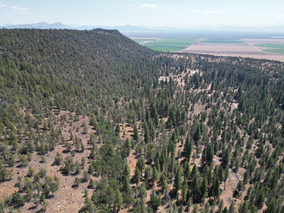 View South, from 120m above the point