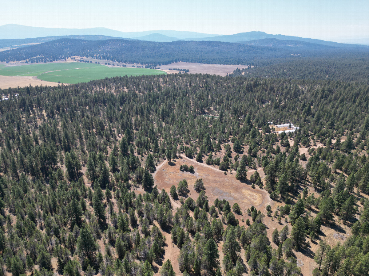 View West, from 120m above the point