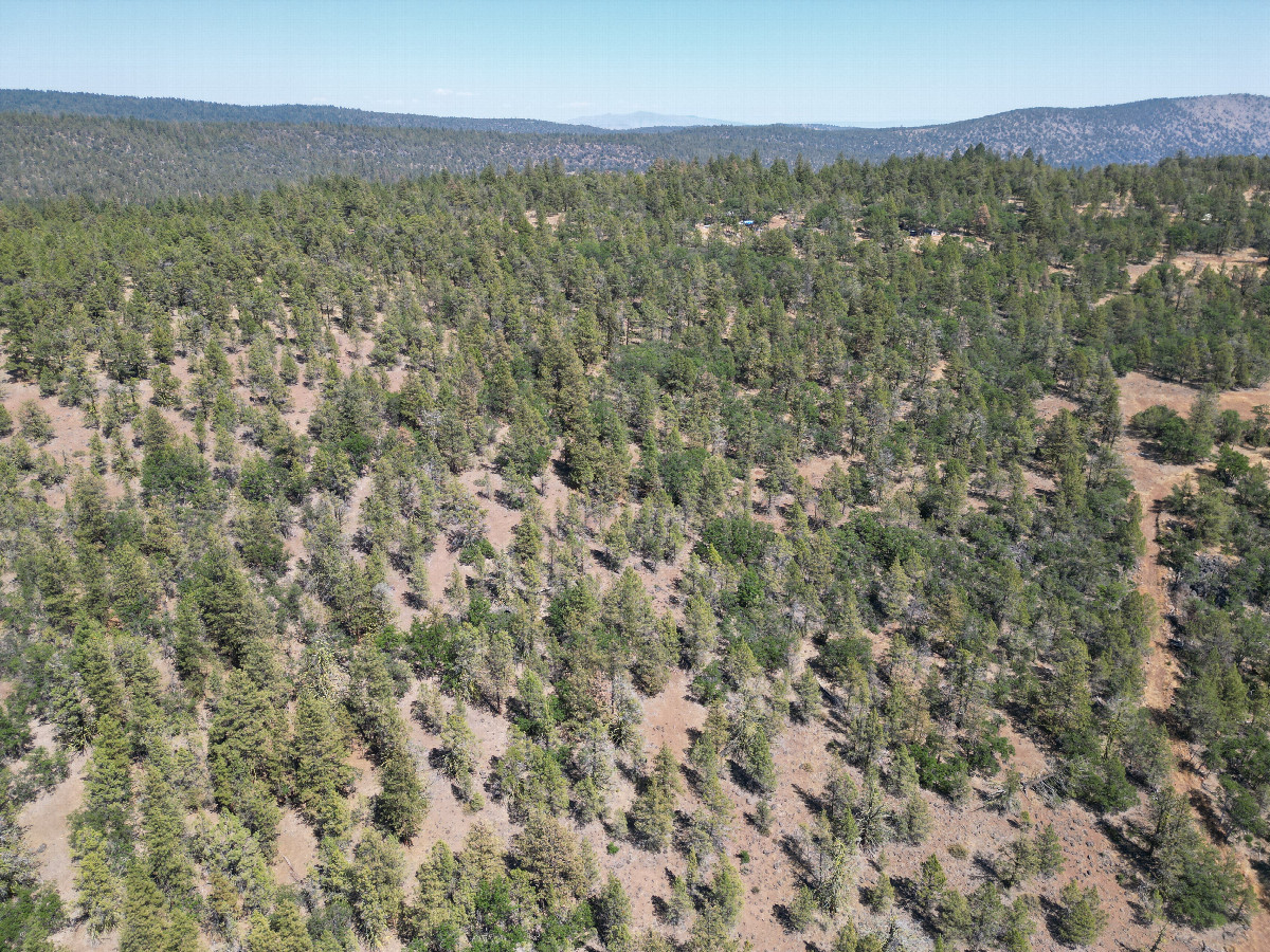 View East, from 120m above the point