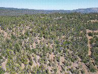 #9: View East, from 120m above the point