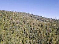 #8: View North (up the slope, into Oregon), from 120m above the point