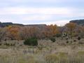 #7: Autumn colors and desert flora